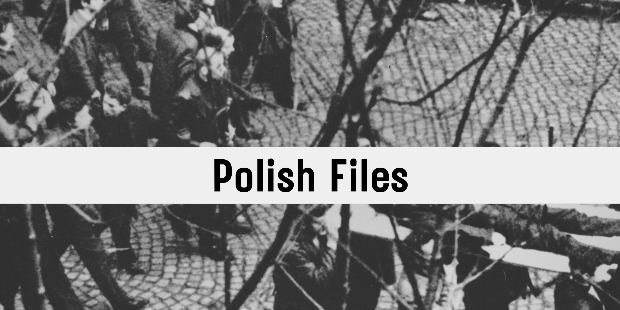 Link for the Polish files site.